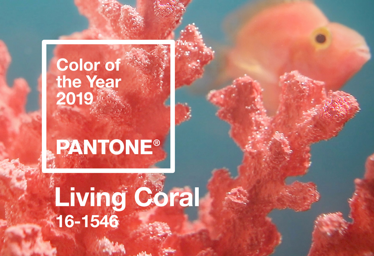 PANTONE® Color of the Year: Living Coral